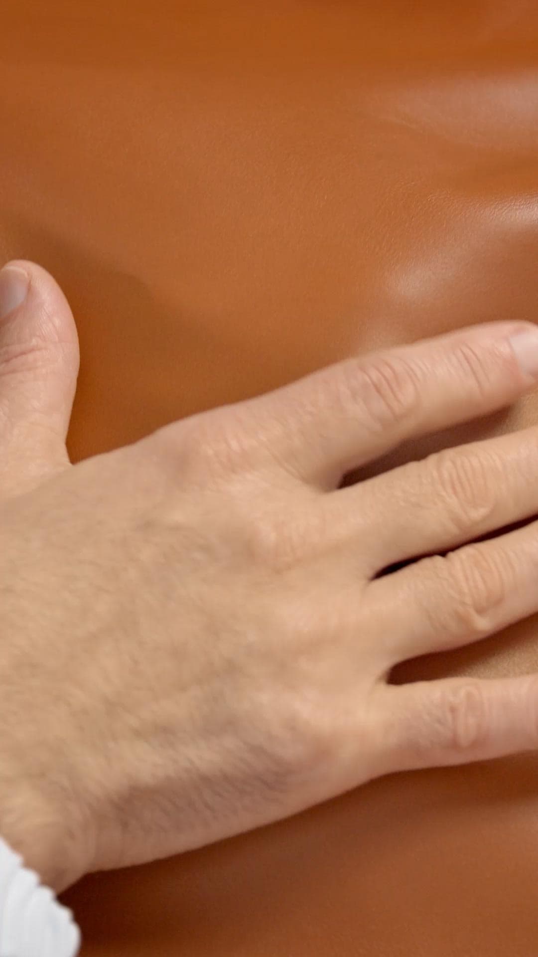 ロロ・ピアーナのベイル・バッグは、カシミヤを保存するベイルに