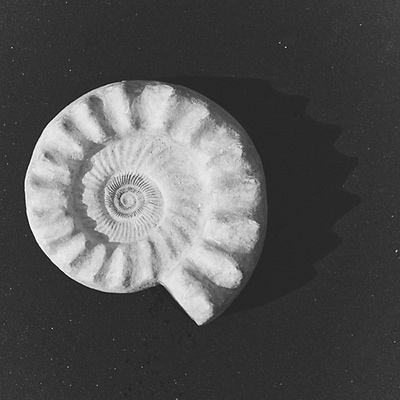 LP_RES25_Still_05_007